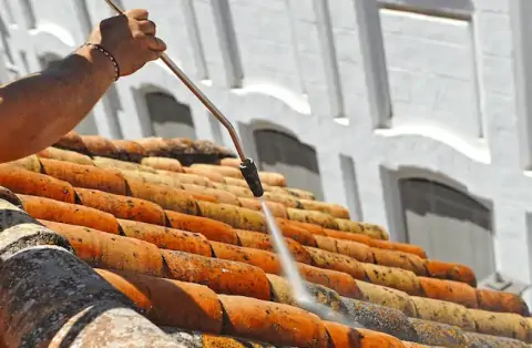 Nettoyage de toitures - Saint-Martin-d'Abbat